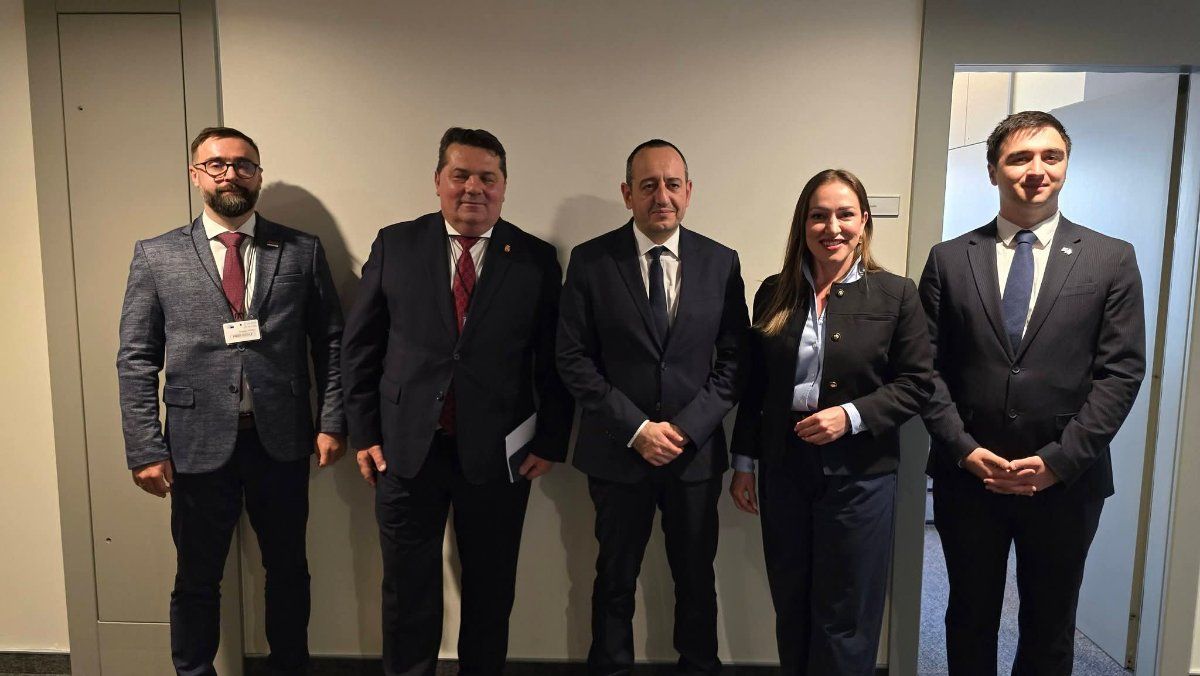 STEVANDIĆ: Zajednički stavovi sa kiparskim evroparlamentarcem o Kosovu i očuvanju identiteta (foto)