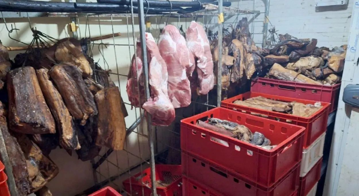 Palo prvo hapšenje zbog širenja afričke kuge