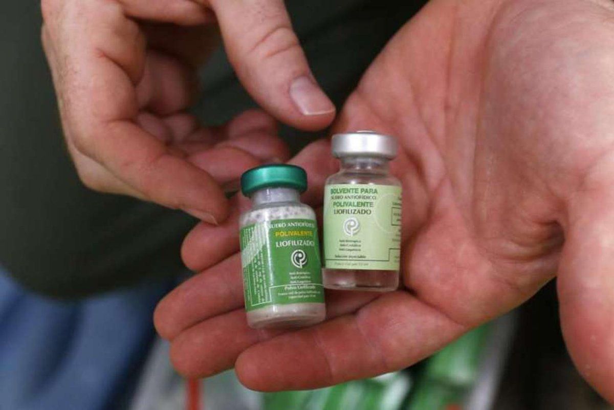 Serum protiv ujeda zmije stigao u domove zdravlja u Srpskoj