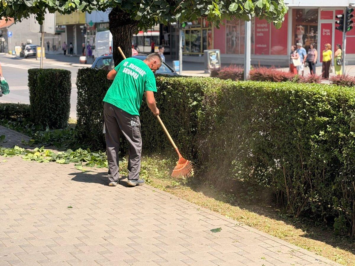 Nastavljene aktivnosti uređenja i održavanja gradskog zelenila u Bijeljini (foto)