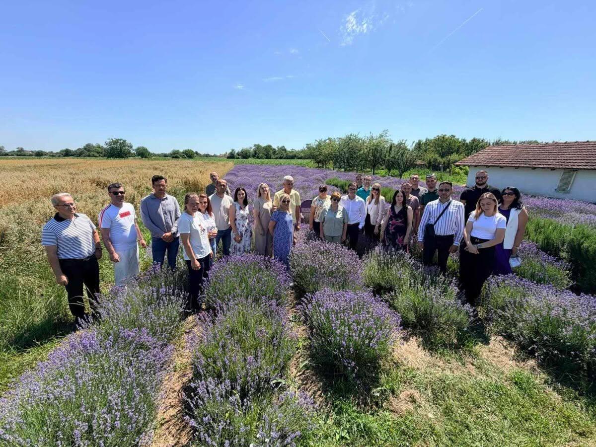 Dan otvorenih vrata - ''Lavanda Semberija'' (foto)
