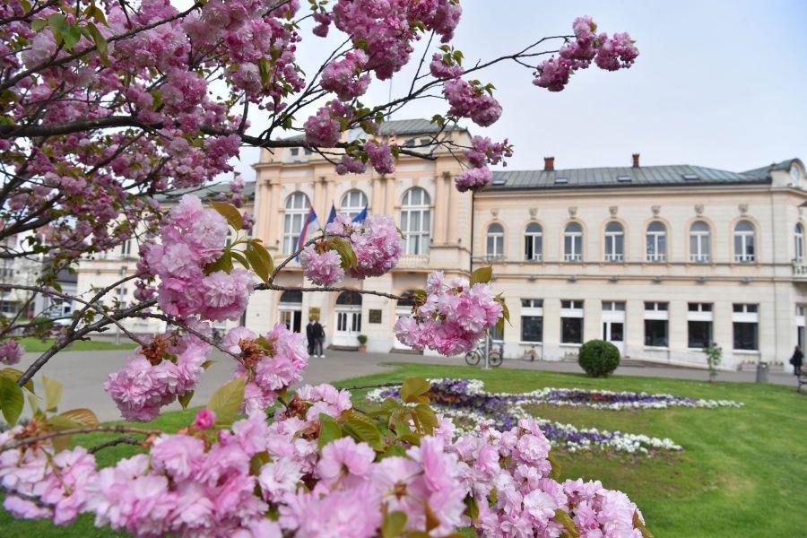 Šesti Sajam cvijeća u Bijeljini 30. i 31. maja (foto)